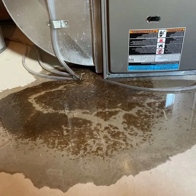 Pipe Burst and Leak Restoration in Dalworthington Gardens, TX